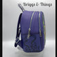 Loungefly Sleeping Beauty Maleficent Mini Backpack Disney Portrait Bag Video
